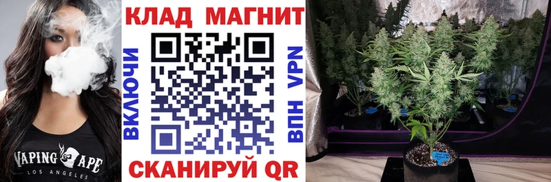 ГАШ Рубцовск