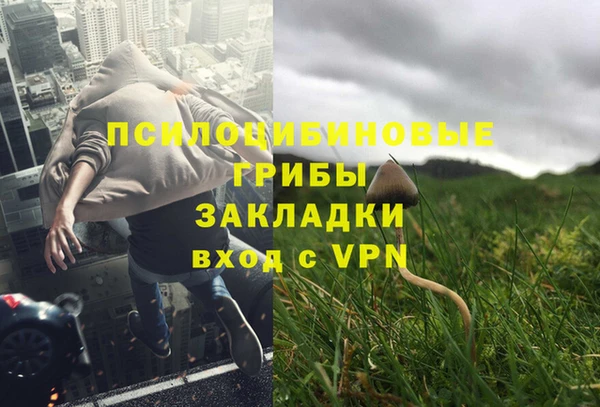 mix Абаза
