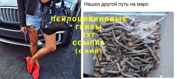 мдпв Арсеньев