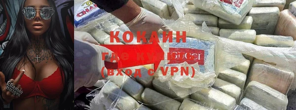 крисы Аркадак