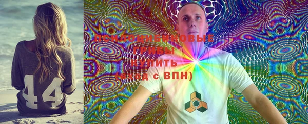 spice Армянск