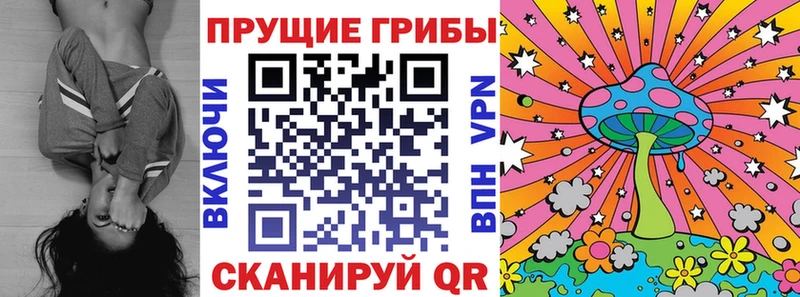 Псилоцибиновые грибы прущие грибы  как найти   Рубцовск 
